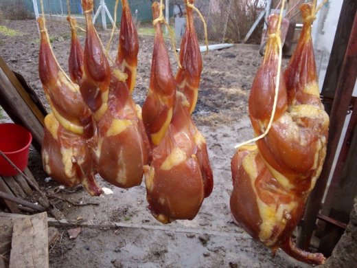 prepeličie mäso