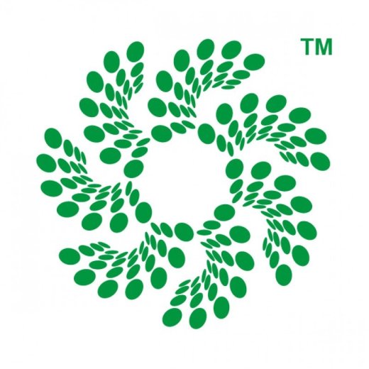 Chief Technology Officer (CTO)