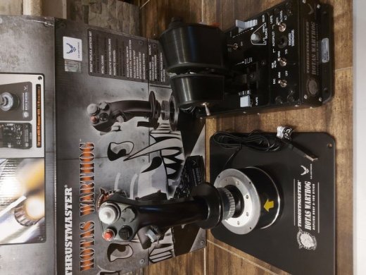 Thrustmaster HOTAS Warthog (joystick)