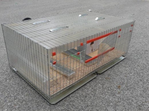 predam novu odchovnu na kuriatka