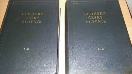 Starý latinsko český slovník