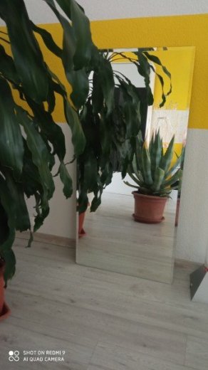 zrkadlo 60x125