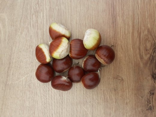 Predám čerstvé jedlé gaštany