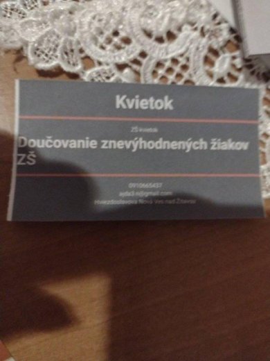 lektorka doučí