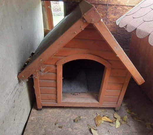 Búda pre psika