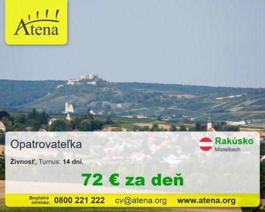 Opatrovatelka, opatrovatel, zdravotna asistentka