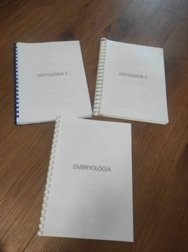Vypracované otázky z histológie
