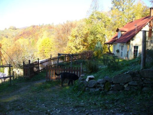 Hospodárska usadlosť 10 ha so zaujímavým domom