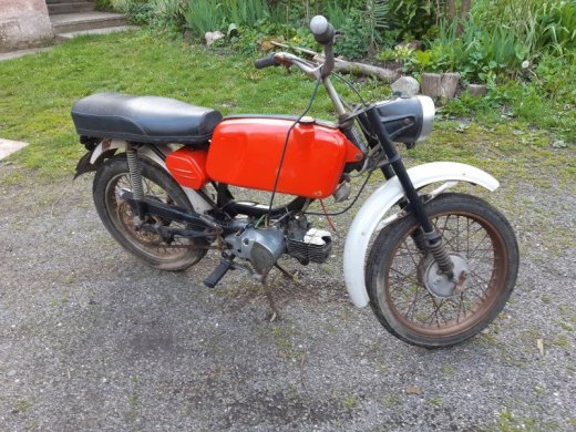 jawa mustang