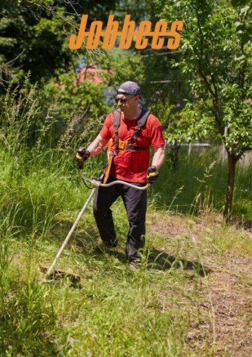 Kosenie v sadoch na Morave