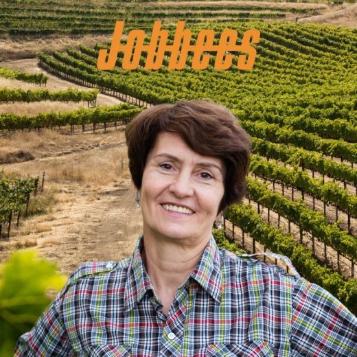 Pomocné práce vo vinohradoch na Morave