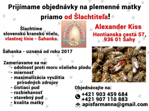 Plemenné matky priamo od šľachtiteľa
