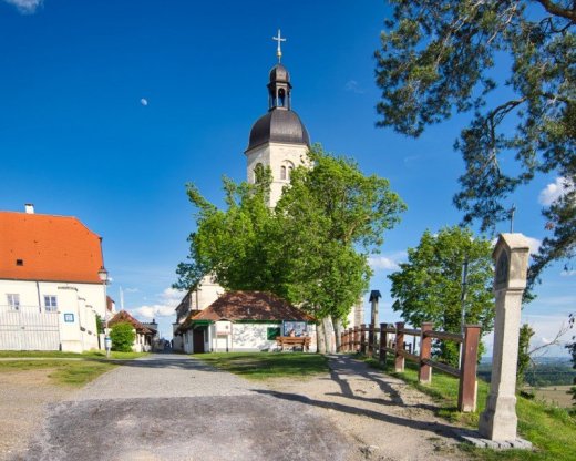 Opatrovatelka, opatrovatel, zdravotna asistentka