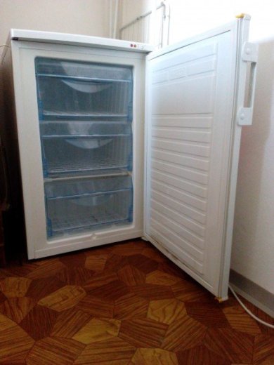 Mraznička Gorenje F4105W