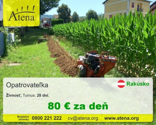 Opatrovatelka, opatrovatel, zdravotna asistentka