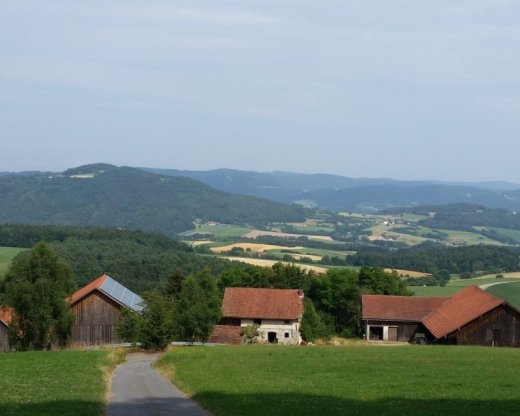 Opatrovatelka, opatrovatel, zdravotna asistentka