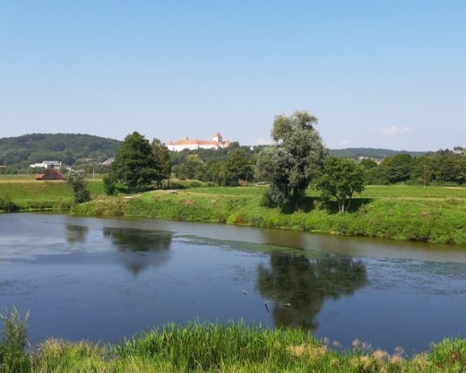 Opatrovatelka, opatrovatel, zdravotna asistentka