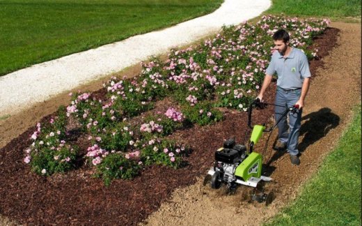 Rotavator Princess MP3 PRO