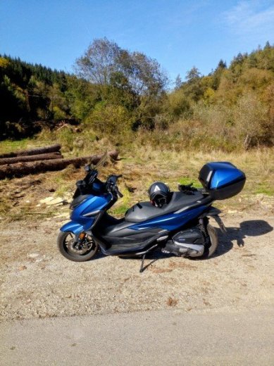 Forza 125 predaj