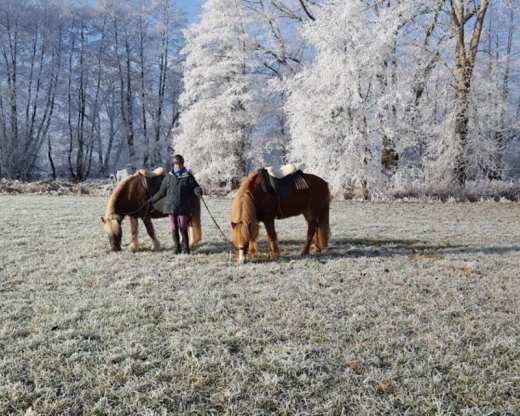 praca pre opatrovatelov a opatrovatelky