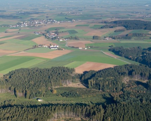 praca pre opatrovatelov a opatrovatelky