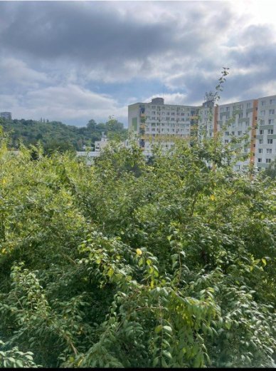 Prenajom 3 izbovy byt