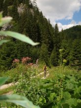 turisticky prenajom drevenice/chata v Blatnici