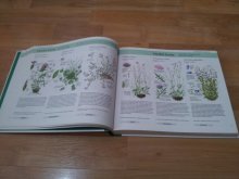Encyklopédia - Živočíchy a rastliny v európe