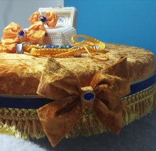 Ponúkam predaj výstavných mašličiek, vôdzok