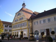 Sinsheim – JEDINEČNÁ PONUKA OPATROVANIA!