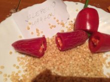 Semiačka Chilli Dragons Breath / a ine na po 20ks