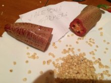 Semiačka Chilli Dragons Breath / a ine na po 20ks