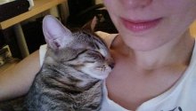 mega-prítulní krásavci na adopciu