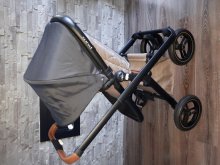 Kocik Neonato puro