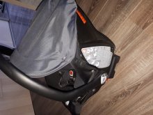 Kocik Neonato puro