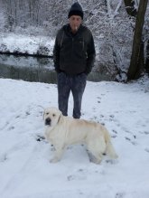 Golden Retriever s PP - Zlatý Retriever s PP