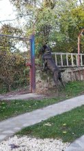 Predám šteniatka Cane Corso