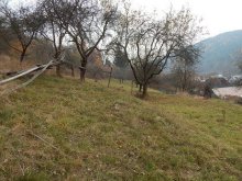 RD aj Chalupa s pozemkom 3035 m2, Bytča – Kolárovice