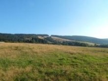 Slnečný pozemok na Makove okres Čadca - 1365 m2.