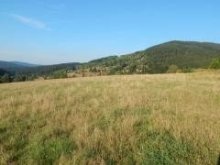 Slnečný pozemok na Makove okres Čadca - 1365 m2.