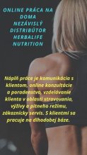 Pracovná online ponuka