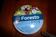 Obojok Foresto