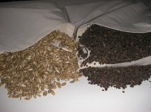 Bio organické vankúše