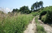 Predaj stavebných pozemkov Badín-Banská Bystrica