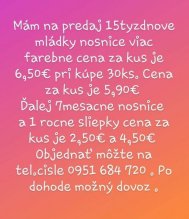 Predam NOSNICE