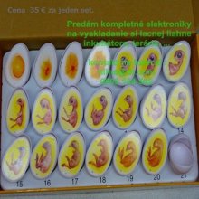 Lacna liahen- kompletna elektronika za 35 €