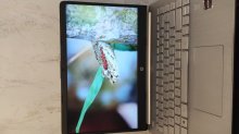 HP Laptop 14s-fq0001sl