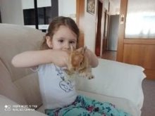 Veľkonočné hebunké králičky