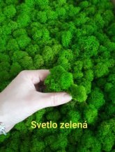 Stabilizovaný mach