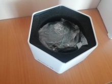 Dámske hodinky Casio Baby-G Shock Resistant